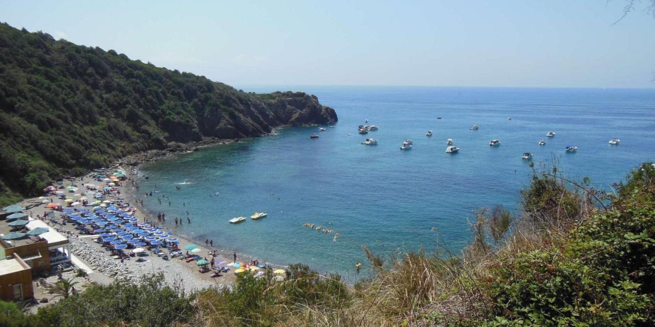 Appartamenti Tra Cielo E Mare Piombino Esterno foto